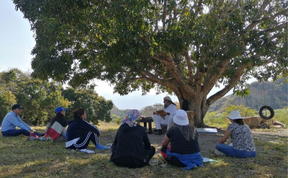 Campamento de musicoterapia