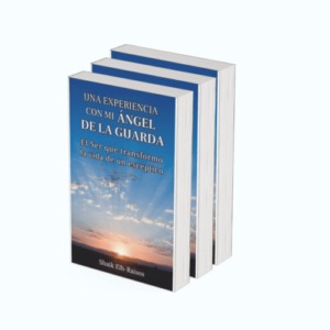 Libro electrónico: UNA EXPERIENCIA MÍSTICA CON MI MAHATMA - Imagen 3